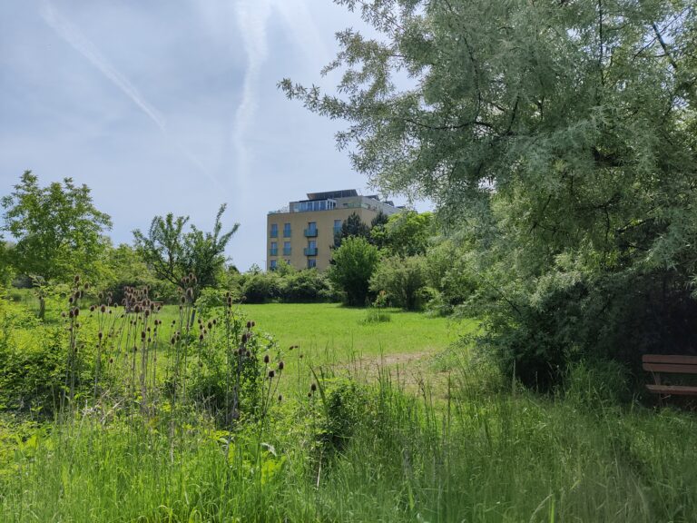 Kräuterwanderung im „Kosmopolitischen Garten“